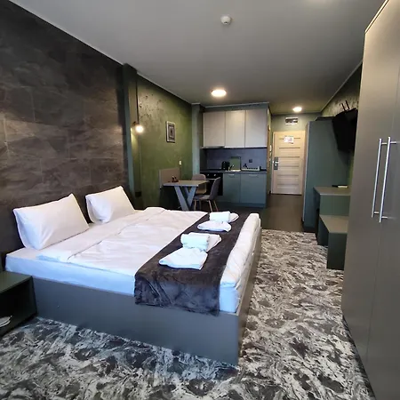 Rcr Einstein 3 索菲亞