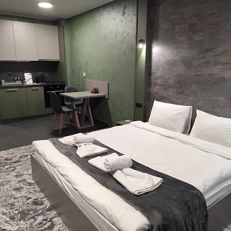 Rcr Einstein 3 索菲亞