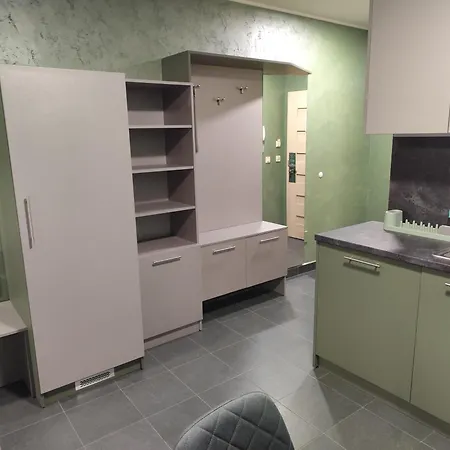 Rcr Einstein 3 * 索菲亞