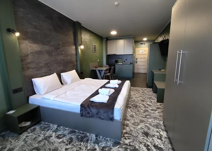 Rcr Einstein 3 Sofia